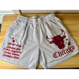 Ultra Game NBA Chicago Bulls Mesh Basketball Shorts Grey Mens Size Medium